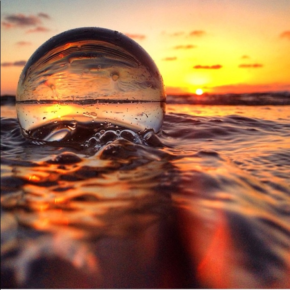 Meet your Posher, Carlos